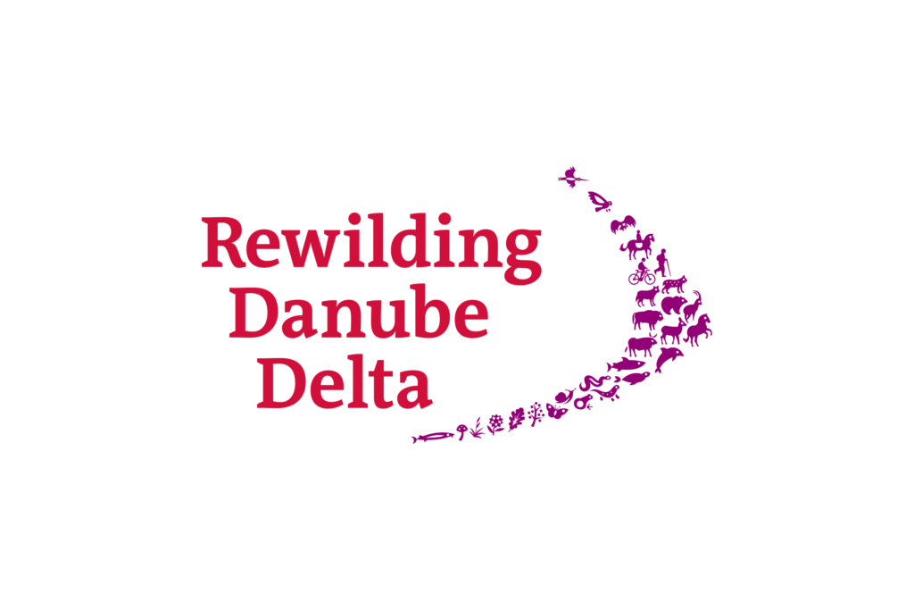 revajlding yukrejn
