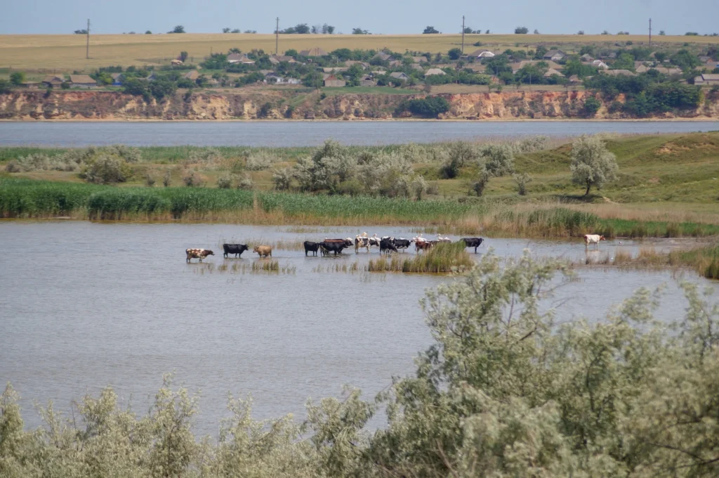 ozero kytaj kilijska gromada